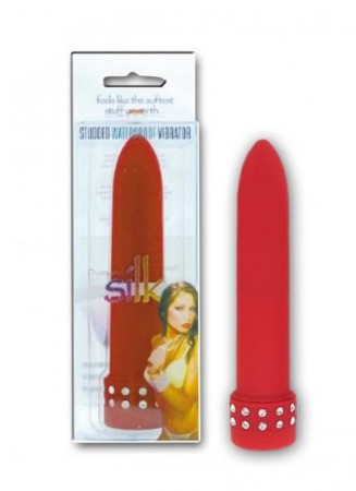 4500009043